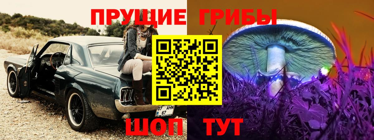 Анапа  Галлюциногенные грибы Cubensis  Вход с VPN 